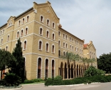 American University of Beirut