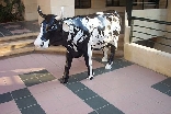 Cow Art in front of Chilis Restaurant