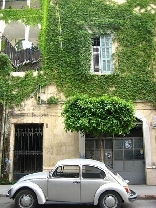 Ivy Building