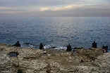 Fishermen at the Beirut Marina