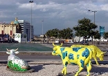 Beirut Cows
