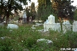 The Jewish Cemetery in Beirut