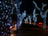 Christmas Decoration