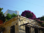 Achrafieh Old House