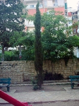 Talit el Khayat Garden ( Moufti Hassan Khaled Garden )