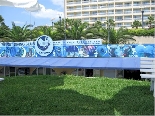 Beirut diving club