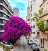 Achrafieh