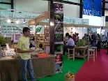 Souk El Tayeb