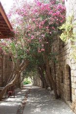 Byblos - the old souk of Jbeil