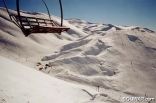 Faraya