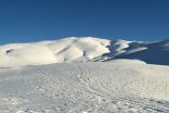 Faraya