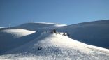 Faraya