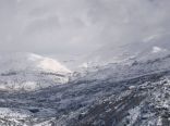 Faraya