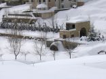 Faraya