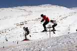 Faraya