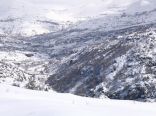 Faraya