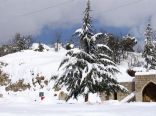 Faraya