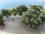 View from Harissa