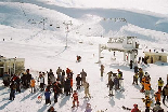 Faraya