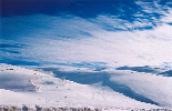 Faraya