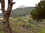 Mar Chaaya Monastery