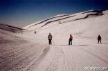 Faraya