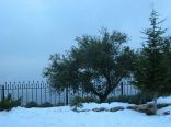 Winter Scene , Aannaya , Jbeil