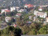 Zabbougha