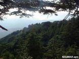 Chouf