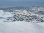 Faraya