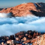 Faraya