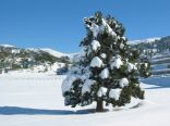 Kfardebian