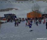 Faraya