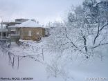 Hammana Under Snow