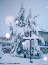 Hammana Under Snow