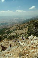 kfardebian