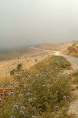 kfardebian