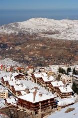 Faraya