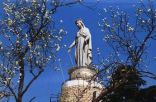 Jounieh Harissa