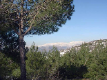 El Chouf