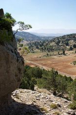 Kartaba