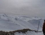 Faraya