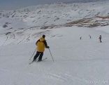 Faraya