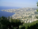 Harissa