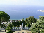 Harissa