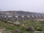 Amchit