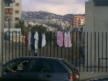 Only in Lebanon