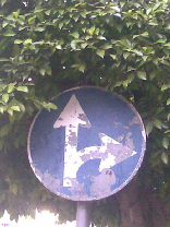 Only in Lebanon