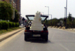 Only in Lebanon