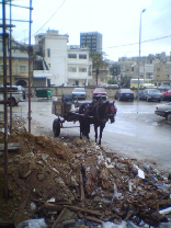 Only in Lebanon